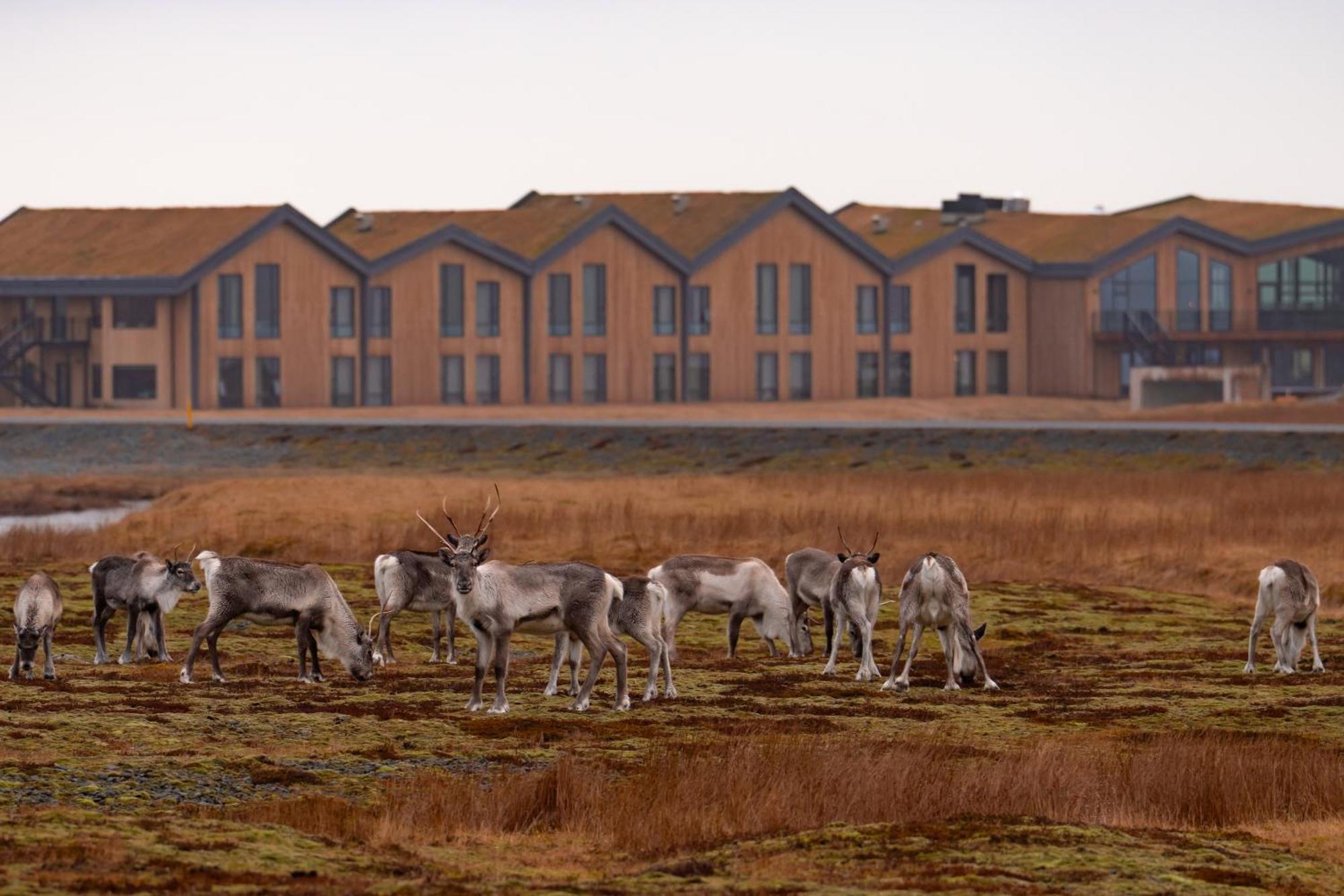 Hotel Joekulsarlon - Glacier Lagoon Hotel Gerdi 外观 照片